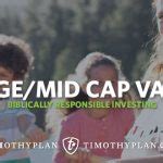 Timothy Plan Large/Mid Cap Value C TLVCX .